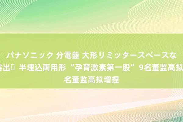 パナソニック 分電盤 大形リミッタースペースなし 露出・半埋込両用形 “孕育激素第一股” 9名董监高拟增捏