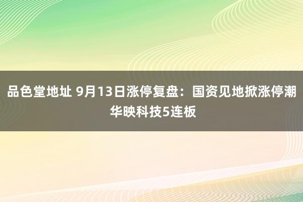 品色堂地址 9月13日涨停复盘:国资见地掀涨停潮 华映科技5连板