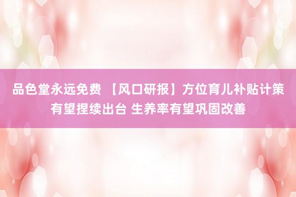 品色堂永远免费 【风口研报】方位育儿补贴计策有望捏续出台 生养率有望巩固改善
