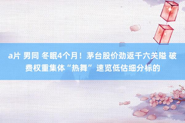 a片 男同 冬眠4个月！茅台股价劲返千六关隘 破费权重集体“热舞” 速览低估细分标的