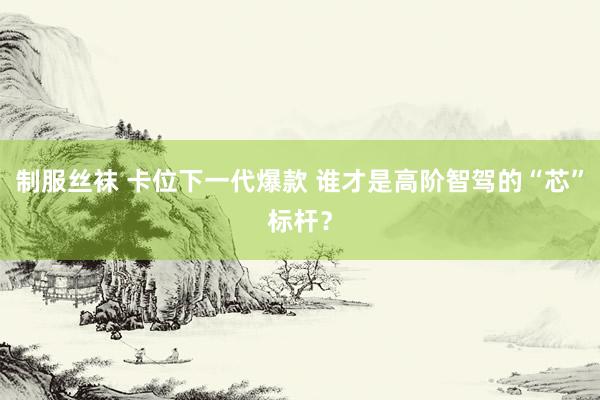 制服丝袜 卡位下一代爆款 谁才是高阶智驾的“芯”标杆？