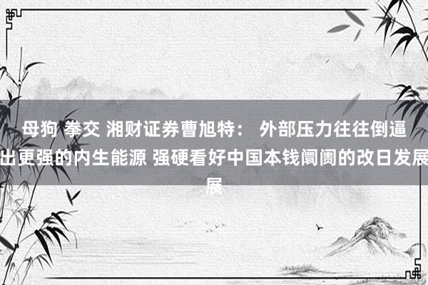 母狗 拳交 湘财证券曹旭特： 外部压力往往倒逼出更强的内生能源 强硬看好中国本钱阛阓的改日发展