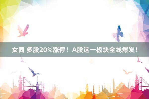 女同 多股20%涨停！A股这一板块全线爆发！